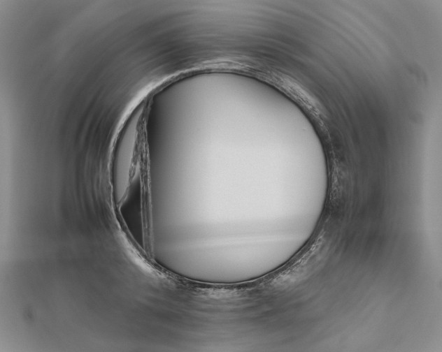 X0000112470800200908311349