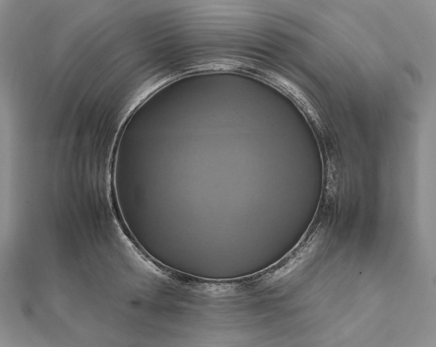 X0000112470802200908311349