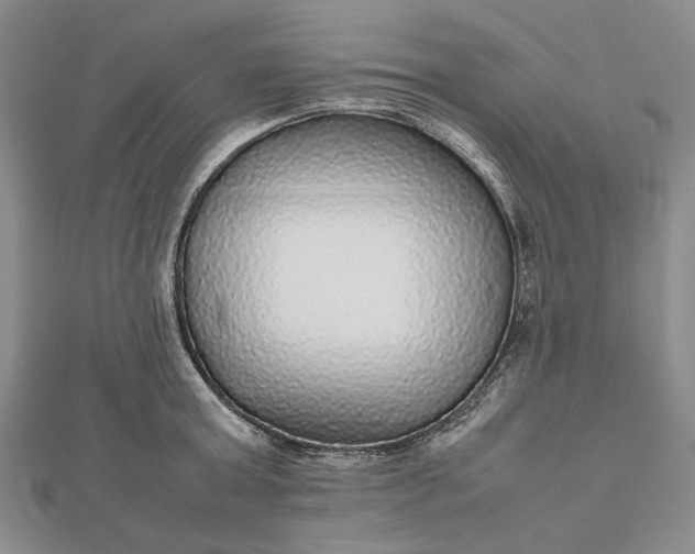 X0000112470803200908311349