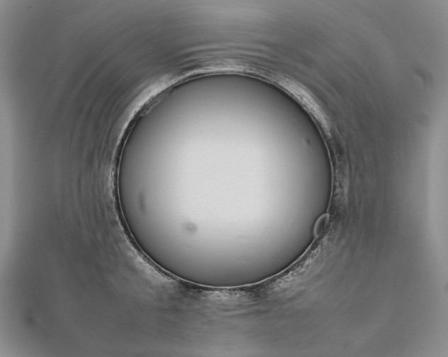 X0000112470805200908311349