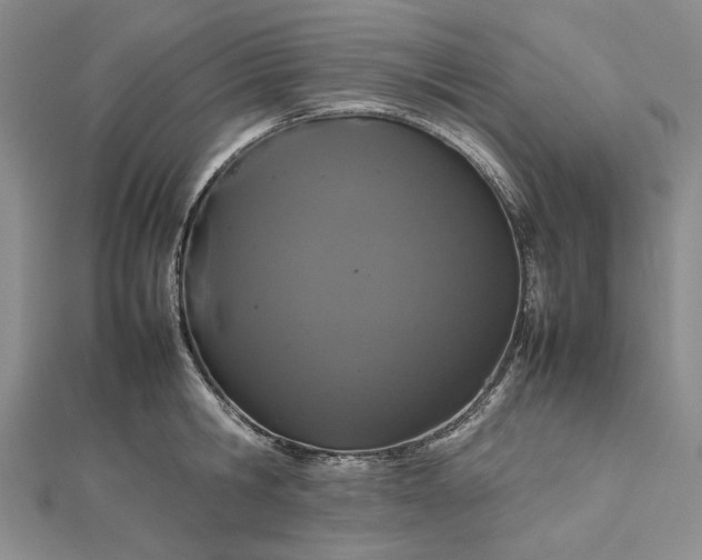 X0000112470806200908311349