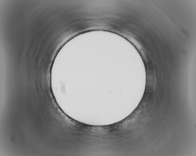 X0000112470807200908311349