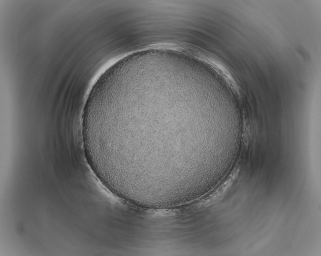 X0000112470808200908311349