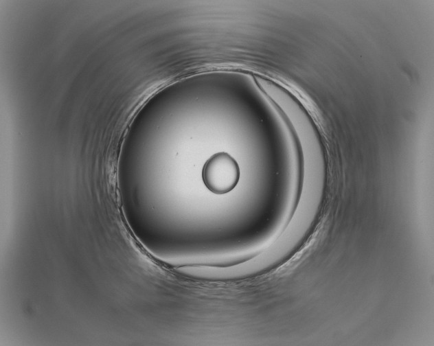 X0000112470809200908311349