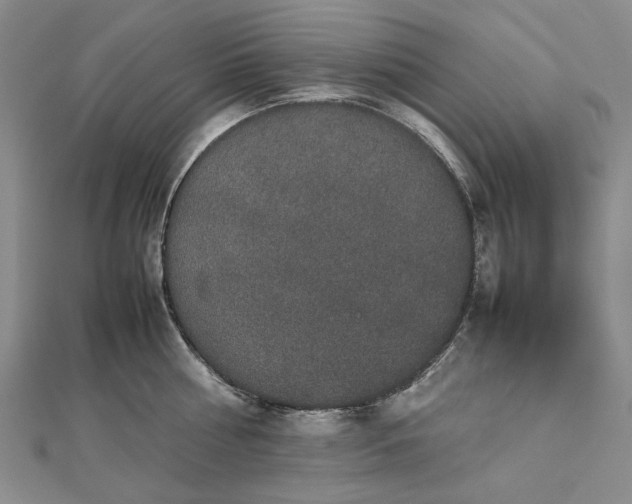 X0000112470810200908311349