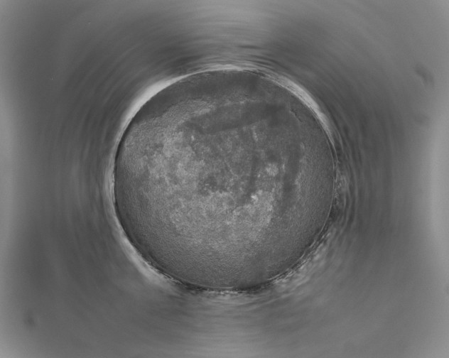 X0000112470811200908311349