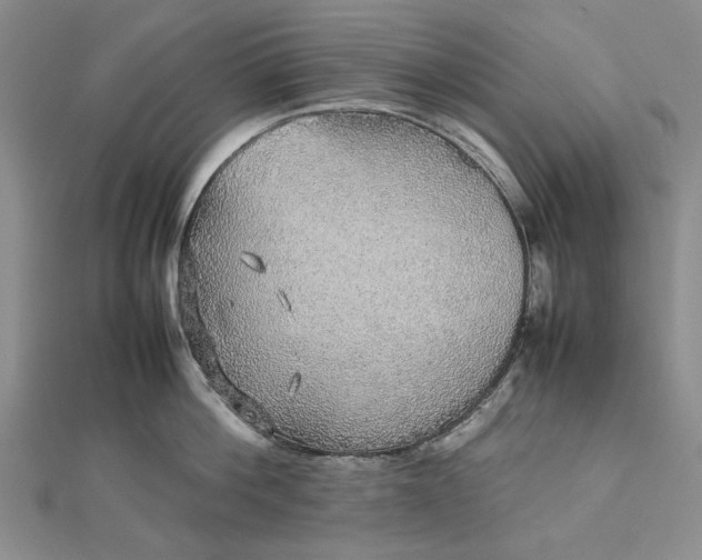 X0000112470812200908311349