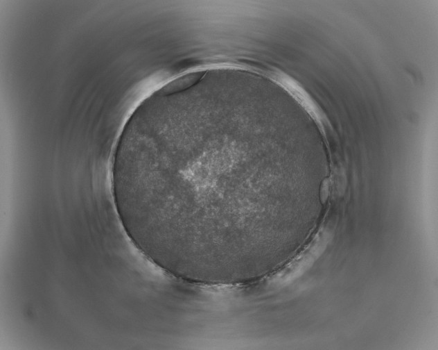 X0000112470813200908311349