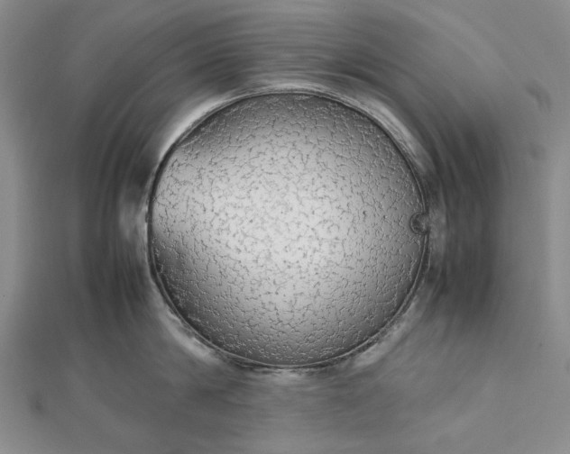 X0000112470814200908311348