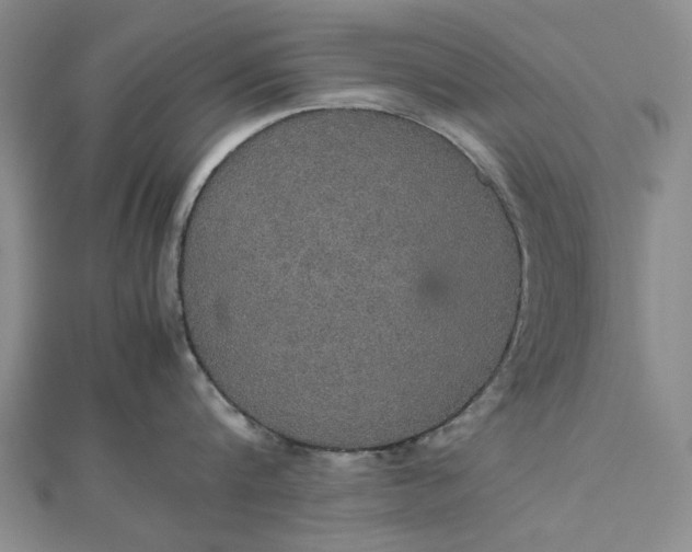 X0000112470816200908311348