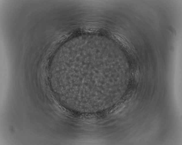 X0000112470817200908311348