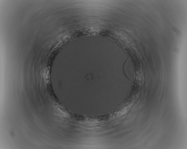 X0000112470818200908311348