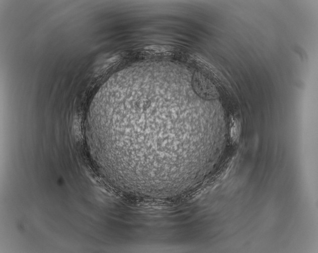 X0000112470819200908311348