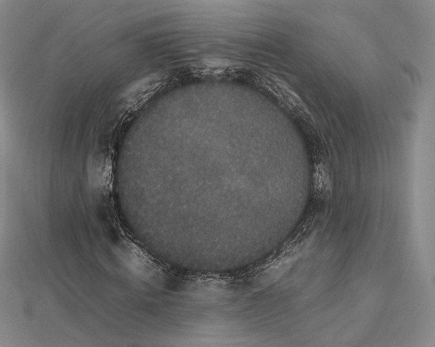 X0000112470820200908311348