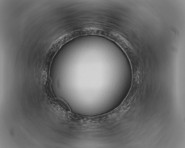 X0000112470821200908311348