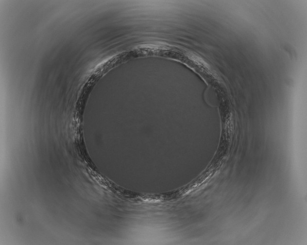 X0000112470822200908311348