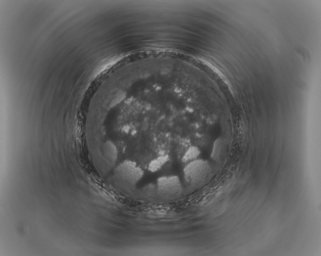 X0000112470823200908311348