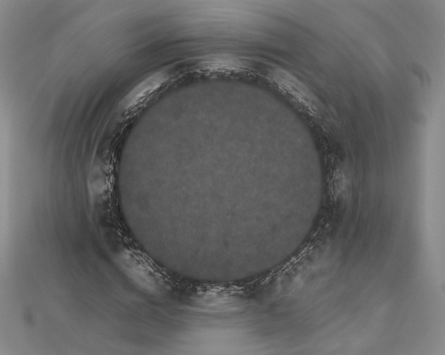 X0000112470824200908311348