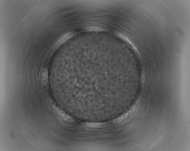 X0000112470825200908311348