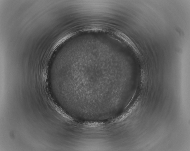 X0000112470826200908311348