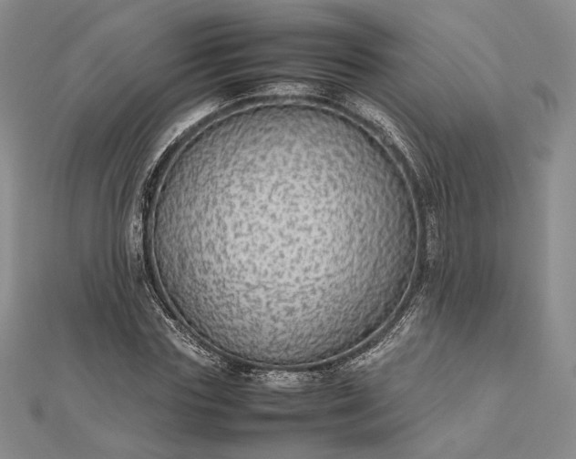 X0000112470827200908311348