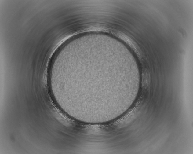 X0000112470828200908311348