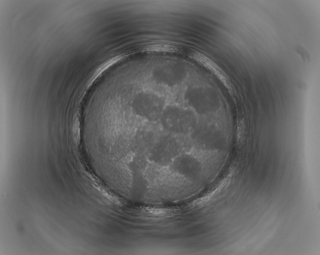 X0000112470829200908311348