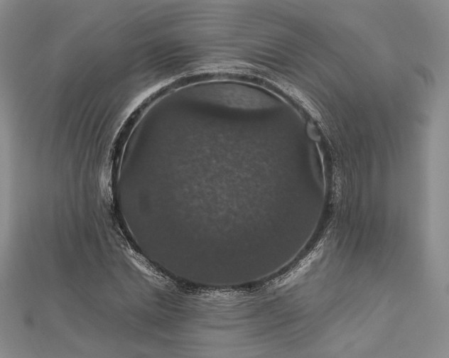 X0000112470830200908311348