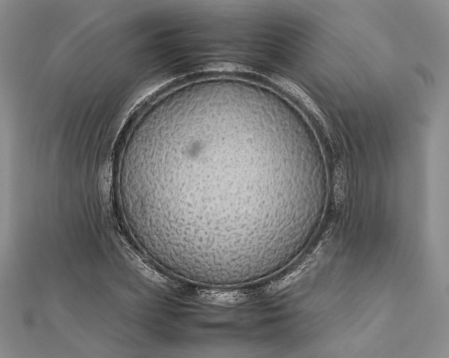 X0000112470831200908311348