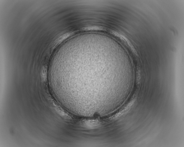 X0000112470833200908311348