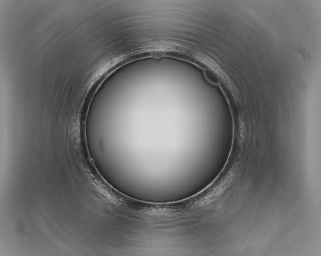 X0000112470834200908311348