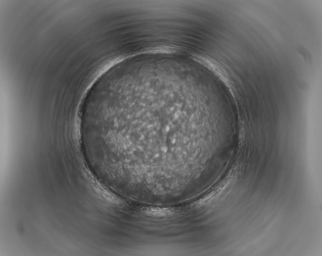 X0000112470835200908311348