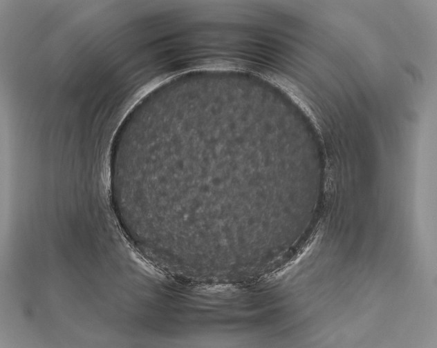 X0000112470837200908311348