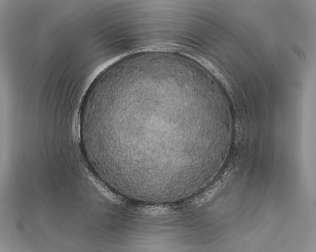 X0000112470838200908311348