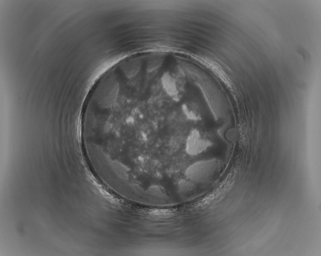 X0000112470839200908311348