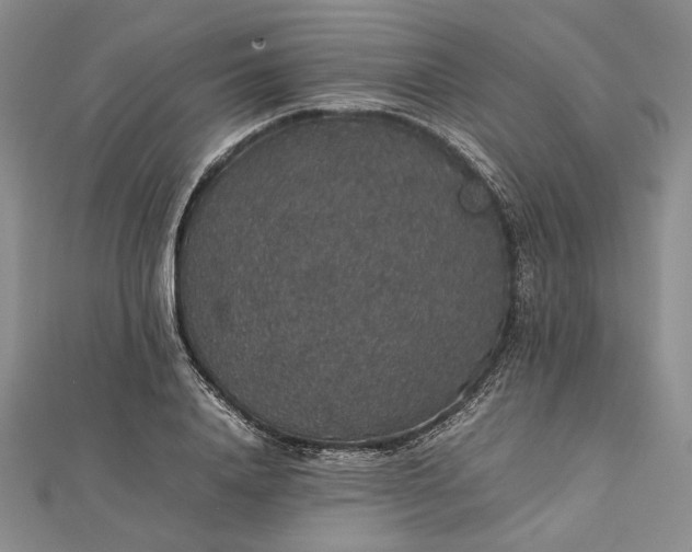 X0000112470840200908311348