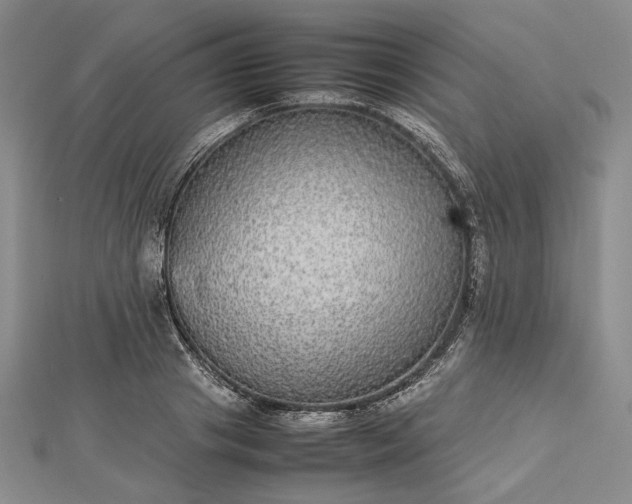 X0000112470841200908311348