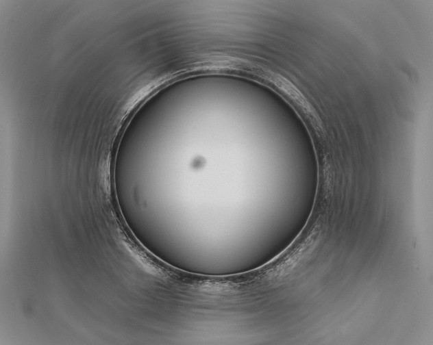 X0000112470842200908311348