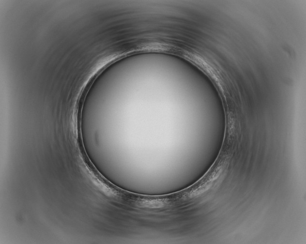 X0000112470843200908311348