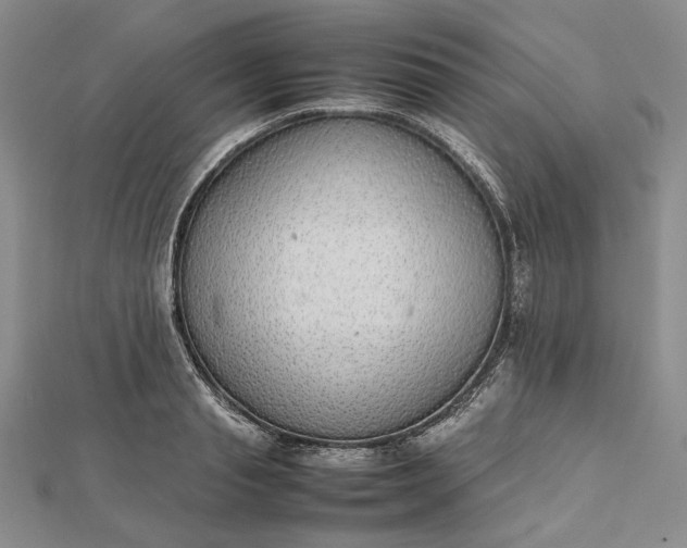 X0000112470845200908311348