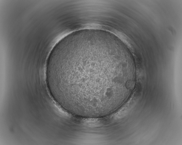 X0000112470846200908311348