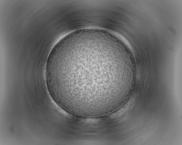 X0000112470847200908311348