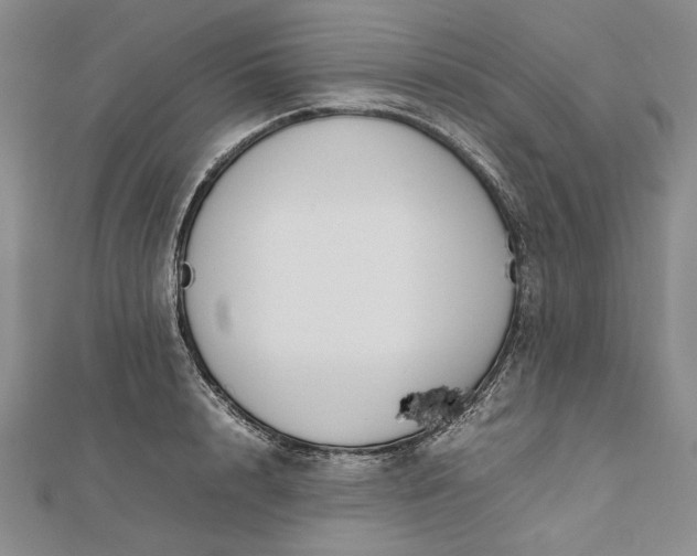 X0000112470848200908311348