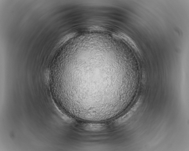 X0000112470849200908311348