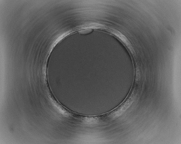 X0000112470850200908311348