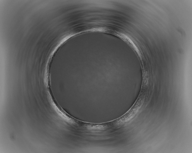 X0000112470851200908311348