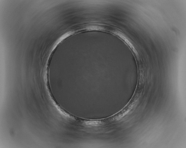 X0000112470853200908311348