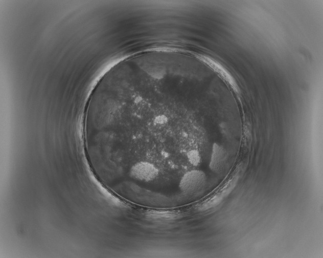 X0000112470855200908311348