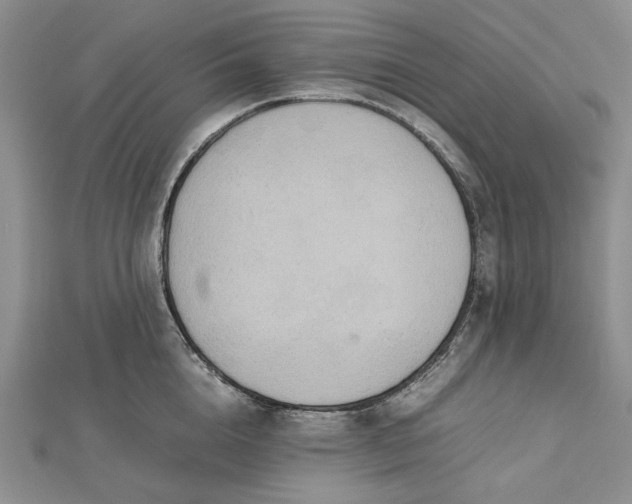 X0000112470856200908311348