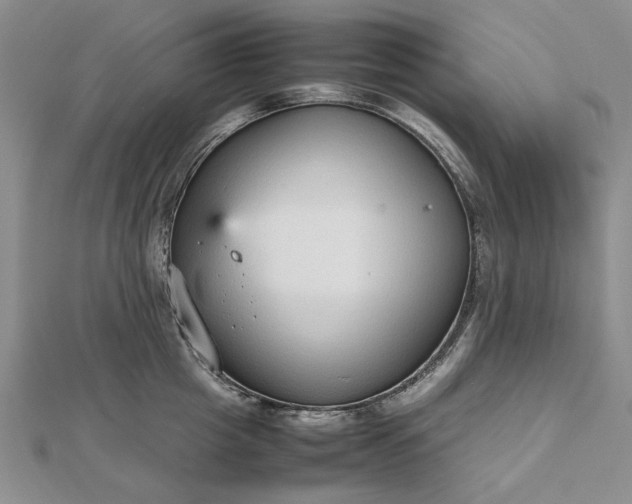 X0000112470857200908311348